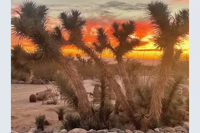 242-09-014 S Wild Bill Road, Yucca, AZ 86438 - Photo 11