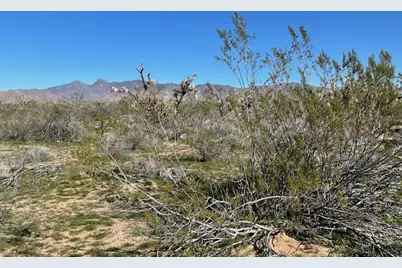 20810 S Cheyenne Road, Yucca, AZ 86438 - Photo 11