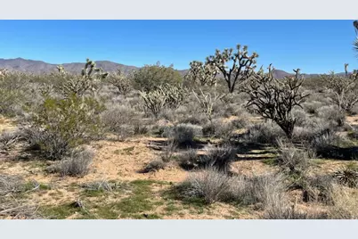 20810 S Cheyenne Road, Yucca, AZ 86438 - Photo 9