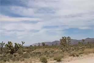 26491 N Pear Ave, Meadview, AZ 86444 - Photo 39