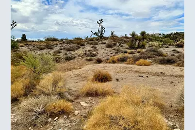319-13-356 Kingman Drive, Dolan Springs, AZ 86441 - Photo 1