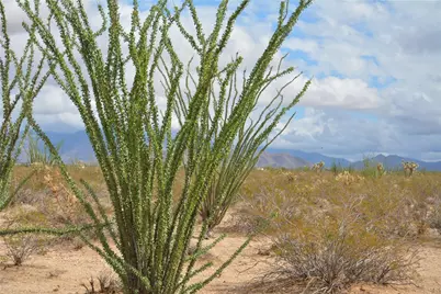 207-17-169A S Cherry Road, Yucca, AZ 86438 - Photo 51
