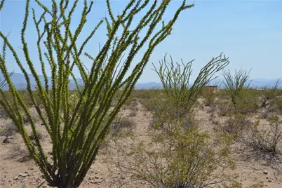 Lot 168/169 S Cherry Road, Yucca, AZ 86438 - Photo 43