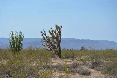 207-17-169A S Cherry Road, Yucca, AZ 86438 - Photo 1