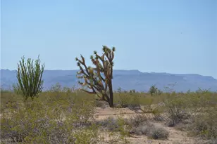 207-17-169A S Cherry Rd, Yucca, AZ 86438 - Photo 1