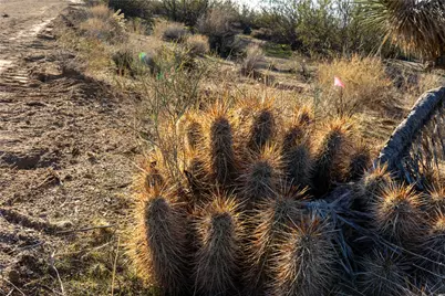 Lot 1 S Edith Drive, Yucca, AZ 86438 - Photo 13
