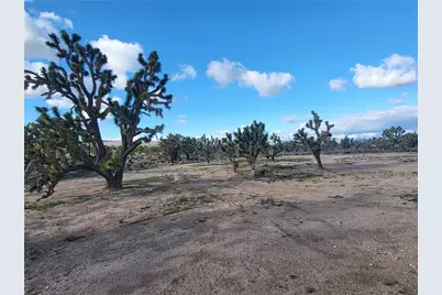 26386 N Pear Avenue, Meadview, AZ 86444 - Photo 23