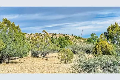 320 Acres Cross Mountain Trout Creek, Seligman, AZ 86337 - Photo 17