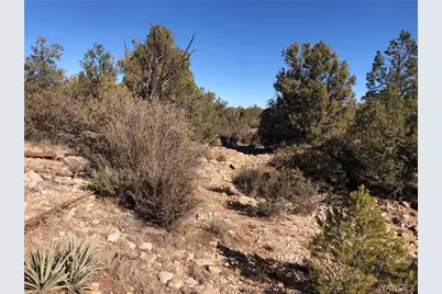 320 Acres Cross Mountain Trout Creek, Seligman, AZ 86337 - Photo 21
