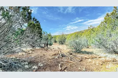 320 Acres Cross Mountain Trout Creek, Seligman, AZ 86337 - Photo 5