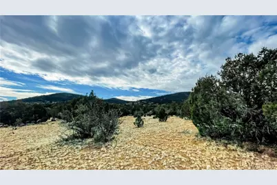 320 Acres Cross Mountain Trout Creek, Seligman, AZ 86337 - Photo 13