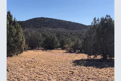 320 Acres Cross Mountain Trout Creek, Seligman, AZ 86337 - Photo 25
