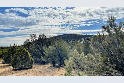 320 Acres Cross Mountain Trout Creek, Seligman, AZ 86337 - Photo 19