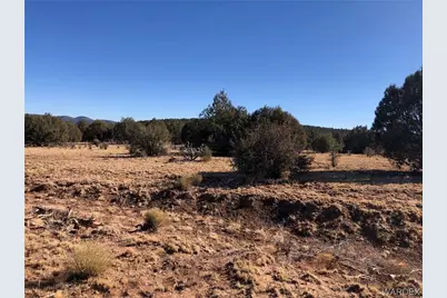 320 Acres Cross Mountain Trout Creek, Seligman, AZ 86337 - Photo 33