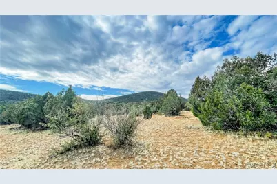 320 Acres Cross Mountain Trout Creek, Seligman, AZ 86337 - Photo 15