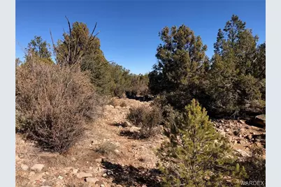 320 Acres Cross Mountain Trout Creek, Seligman, AZ 86337 - Photo 7