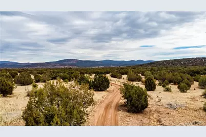 320 Acres Cross Mountain Trout Creek, Seligman, AZ 86337 - Photo 23