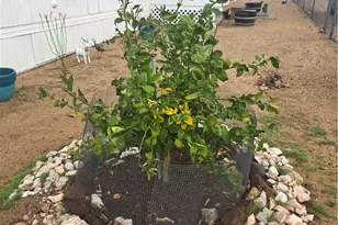 3325 N Bacobi Rd, Golden Valley, AZ 86413 - Photo 25