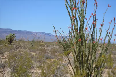 Lot 199 S Cortaro Road, Yucca, AZ 86438 - Photo 5