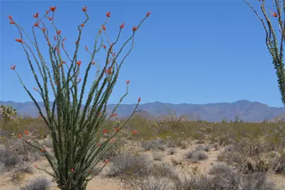 Lot 199 S Cortaro Road, Yucca, AZ 86438 - Photo 31