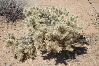 Lot 199 S Cortaro Road, Yucca, AZ 86438 - Photo 19