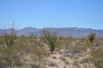Lot 199 S Cortaro Road, Yucca, AZ 86438 - Photo 3