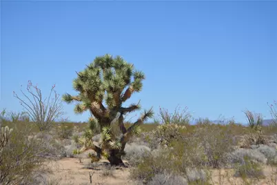 Lot 199 S Cortaro Road, Yucca, AZ 86438 - Photo 25