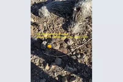 327-08-002 N North Drive, Dolan Springs, AZ 86441 - Photo 3