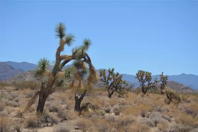 11872 S Date Creek Road, Yucca, AZ 86438 - Photo 7