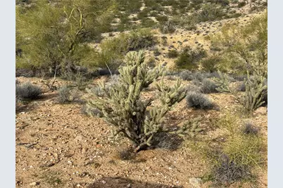 Mm10 Back Road Road, Kingman, AZ 86401 - Photo 25