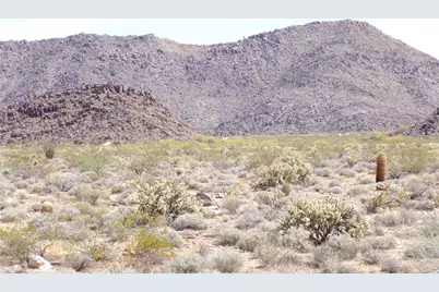 208-24-165 S Cherry Road, Yucca, AZ 86438 - Photo 17