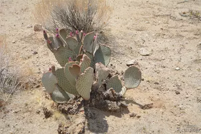 2279 E Margaret Road, Yucca, AZ 86438 - Photo 79