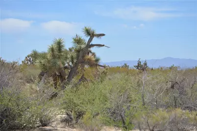 2279 E Margaret Road, Yucca, AZ 86438 - Photo 31