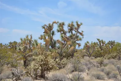 2279 E Margaret Road, Yucca, AZ 86438 - Photo 15