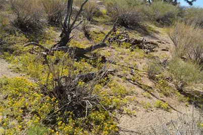 2279 E Margaret Road, Yucca, AZ 86438 - Photo 87