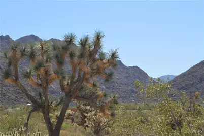 2279 E Margaret Road, Yucca, AZ 86438 - Photo 9