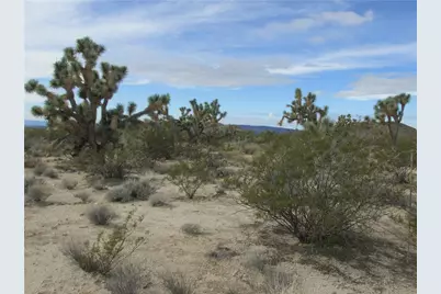 245-06-003F S Cal Road, Yucca, AZ 86438 - Photo 11