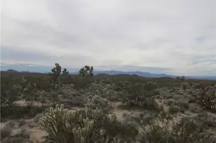 245-06-018 002D S Ernest Dr, Yucca, AZ 86438 - Photo 1
