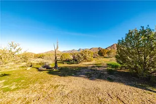 19816 S Gold Mine Rd, Yucca, AZ 86438 - Photo 75