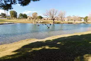 2827 Country Club Dr, Bullhead City, AZ 86442 - Photo 25