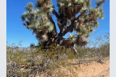 2416 E Mesquite, Yucca, AZ 86438 - Photo 1