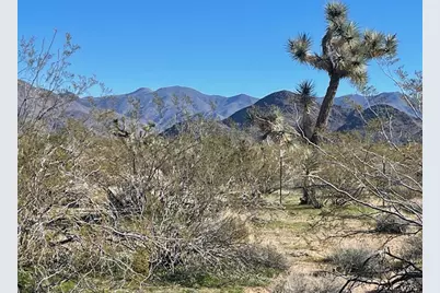 8 E Mary Drive, Yucca, AZ 86438 - Photo 11