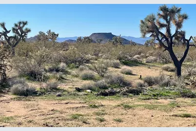 8 E Mary Drive, Yucca, AZ 86438 - Photo 7