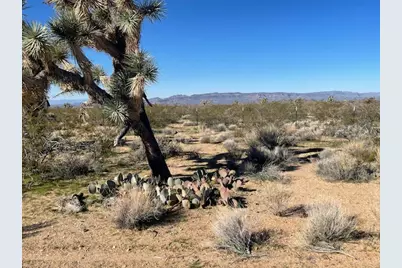 8 E Mary Drive, Yucca, AZ 86438 - Photo 5