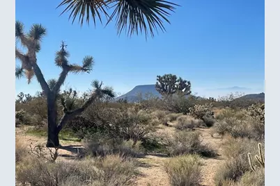 8 E Mary Drive, Yucca, AZ 86438 - Photo 25
