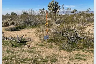 8 E Mary Drive, Yucca, AZ 86438 - Photo 23