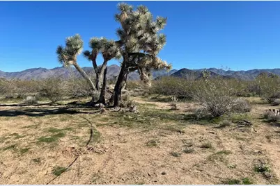 8 E Mary Drive, Yucca, AZ 86438 - Photo 9