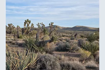 000 W Inyo Dr #243, White Hills, AZ 86445 - Photo 9