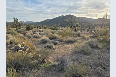 000 W Inyo Dr #243, White Hills, AZ 86445 - Photo 1