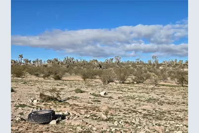 000 Butterfly Drive, Dolan Springs, AZ 86441 - Photo 3